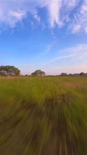 Kenneith Lucas (@kenneithlucas)’s videos with Learn To Fly - Surfaces & Elton John