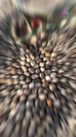 How to Install Gravel Floors: A Step-by-Step Guide