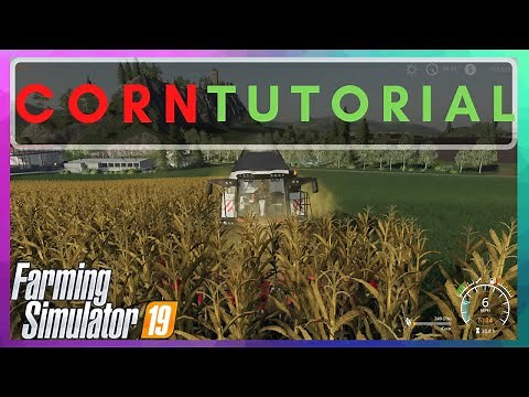 Corn Tutorial FS 19