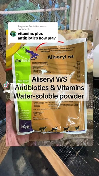 Effective Use of Aliseryl for Poultry Health