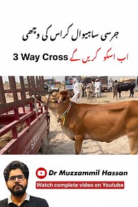121K views · 2.9K reactions | #SustainableFarming #FarmLife #mastitis #cheetah #uk #Abortion #SmallFarmers #OrganicDairy #profit #DairyFarming #Dairyfarming #AgTech #farmersmarket #HappyCows #Wanda | Dairy Farming with Dr-Muzzammil | Facebook