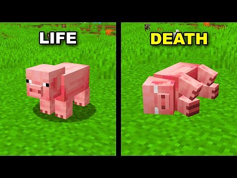 Mods You NEED to Know in Minecraft!