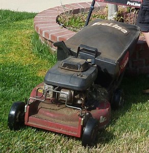 Nominate the Best Lawn/Landscape Service