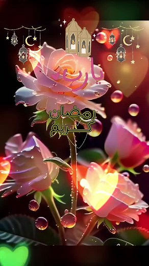 Romantic Animated Roses with Lanterns and Moons