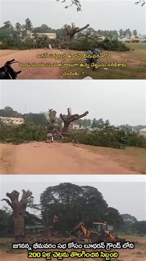 Uprooted Tree in Rural Landscape: Observing Nature's Impact