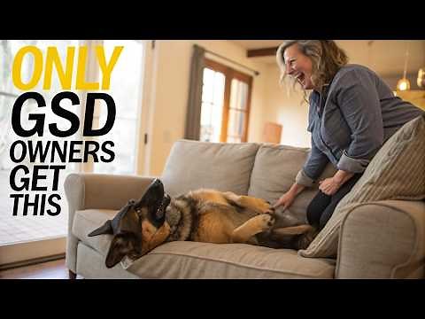 German Shepherd Quirks That Will Surprise You..! 🐾