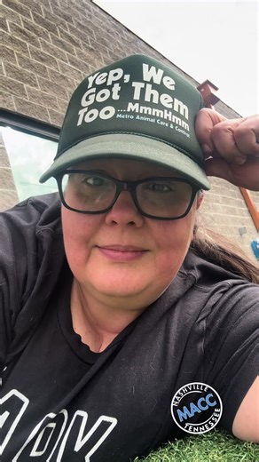 Cuddling with Shelter Dogs: Casey's Journey to a Forever Home