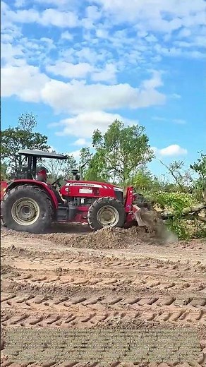 Pushing the Tree: How a Blade Overtakes a Vertical Life