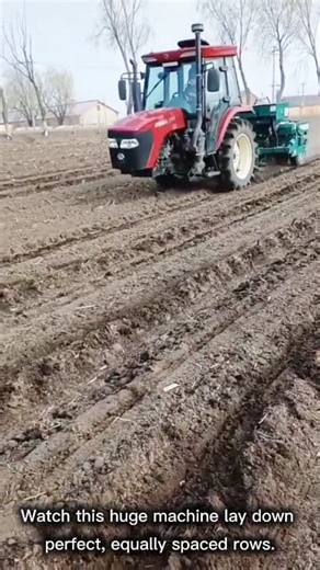 this planter gets field work DONE! 🔥 Watch this modern tractor pull a high efficiency precision planter, ensuring every seed is placed perfectly for maximum yield. This machine handles seeding and potentially fertilizing, all in one quick, satisfying pass across the field. Modern agriculture relies on technology like this to feed the world efficiently. This is large scale farming at its best! #machine #planter #technology #farming #agriculture | Rinu Izaz Fadli