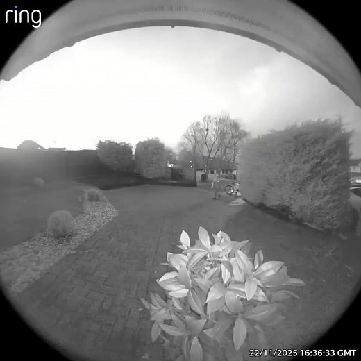 4.3K views · 33 reactions | SCOTLAND CHILDREN CHRISTMAS MESSAGE. Jack Campbell, Dylan Thompson, Cameron Bourne, Liam Phillips, and Ollie Shearer belt out Wham’s number one hit with some local flair. | Petronilla Husbands | Facebook