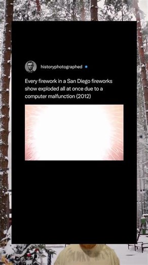 Every firework in a San Diego fireworks show exploded all at once due to a computer malfunction