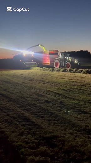 Complete Guide to Whole Crop Oats and Grass Silage