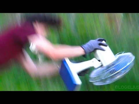 LogeliusD - Counting Worms