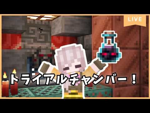 【マイクラ配信】 怪しいポーションVをゲットしちゃったら行くしかないよね！の日 コメント気軽にしてね