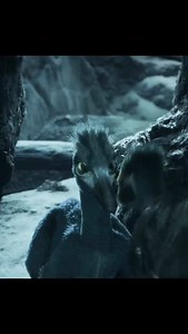 After the Chicxulub impact 66 million years ago, vast amounts of dust, soot, and sulfur aerosols were injected into the atmosphere. This blocked sunlight and triggered a sharp global cooling often referred to as an impact winter. Conditions varied by region, but the dominant effects were prolonged darkness, falling temperatures, widespread wildfires, acid rain, and the collapse of food webs in both terrestrial and marine environments. All non-avian dinosaurs went extinct during this mass extinct