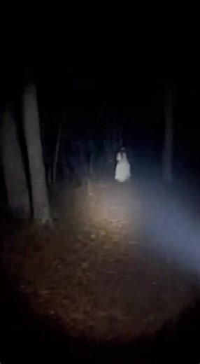 Incredible Jungle Ghost Video Footage