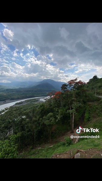 Exploring the Ecuadorian Amazon: Nature's Wonders