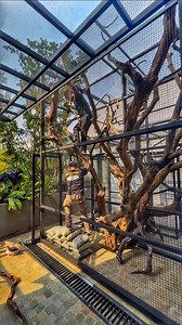 The Labirin Aviary 🦜 #landscape #aviary #aviarybird #rasiofamily | Herry Rasio