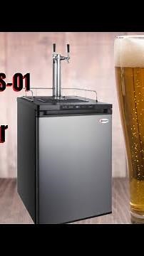 Everything You Need to Know About the Kegco MDK-309SS-01 Keg Dispenser