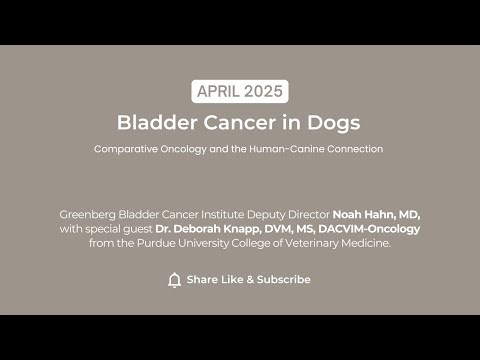 Bladder Cancer in Dogs: Comparative Oncology and the Human-Canine Connection