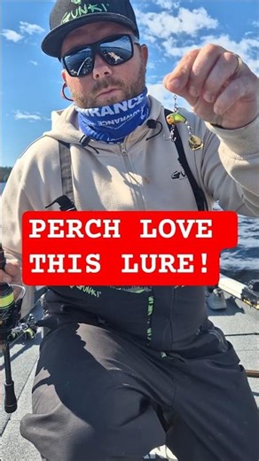 This spintail catches BIG perch! Illex Deracoup is deadly for perch!