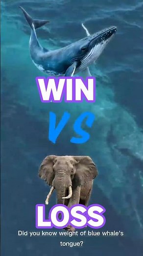 Amazing facts about blue whales and elephants you didn’t know #shorts #elephant #bluewhales #animals