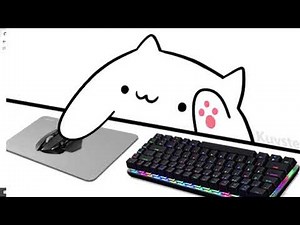 How To Connect Bongocat as A Camera on Discord (Easy)