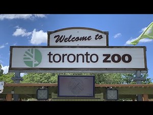 A Walk Through the Toronto Zoo
