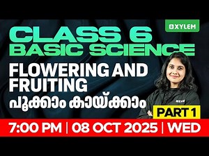 Class 6 Basic Science | Flowering and Fruiting (പൂക്കാം കായ്ക്കാം) Part 1 | Xylem Class 6