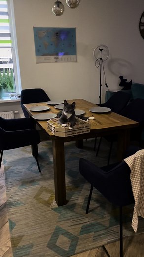 Це просто його 😅