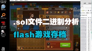 1.sol文件二进制数据分析