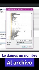 Backups SQL Server #sql #sqlserver #sqlservermanagementstudio #ryufreelance #backup