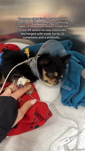 Help Save Fabio: Support His Treatment Journey