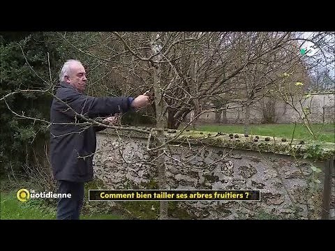 It's time to prune the fruit trees!