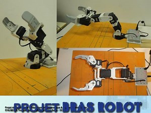 PROJET BRAS ROBOT - SlideServe