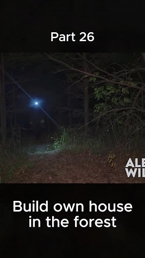 #bushcraft #camp #camping #survival #shelter #build #outdoors #fyp