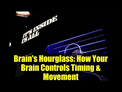 Brain's Hourglass: How Your Brain Controls Timing & Movement