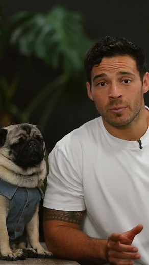 Grilled Vietnamese Pork Salad with my pug teacher. Full episode on my IG! #recipe #fyp #food #pug #puglife #recipes #recipesoftiktok #chef #pugs #yumm