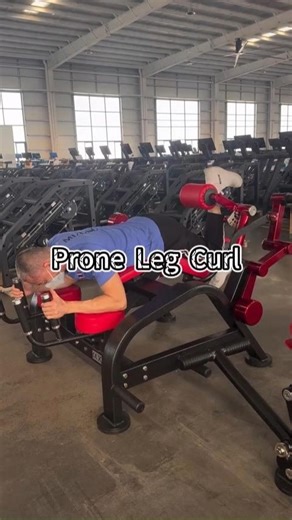 Brawn Strength on Instagram: "Prone Leg Curl Machine Maximize Hamstring Development It is engineered for optimal hamstring isolation in a face-down position. This posture naturally stabilizes the hips and lower back, allowing for intense, focused muscle contraction. #fitness #gym #fit #legday #legworkout #workout"