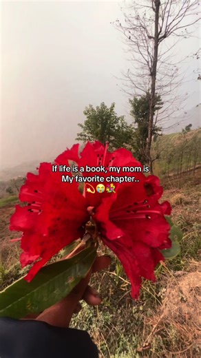 Mom 😭❤️‍🩹🌺💫#mom #repost #creatorsearchinsights #fypシ゚viral🖤tiktok #fyppppppppppppppppppppppp