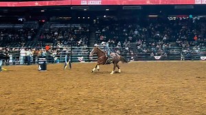 51K views · 887 reactions | Night one of the inaugural The Hondo Rodeo is in the books, and it was Lisa Lockhart and Blazin Ta Betty (2018 mare by Dash Ta Fame x Blazin Black Betty x Blazin Jetolena, owned by Keith Nellesen) who earned the $12,000 win with a 13.958-second run. See how the (unofficial) results shook out during Round 1 ➡ https://bit.ly/HondoInfo24 Video courtesy Lockhart | BarrelRacing.com | Facebook