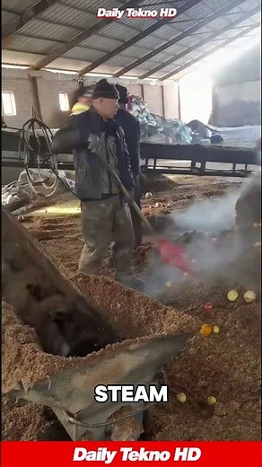 Steaming Sorghum Pits 😲 Mixing Fruit for Alcohol #BaijiuMaking