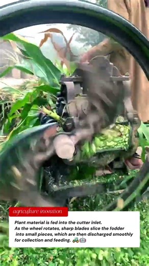 Powerful Chaff Cutter Machine | Farm Tools for Fast Fodder Cutting