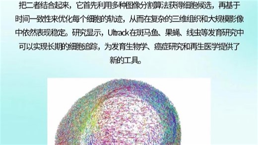 每天一个AI知识-0825 Ultrack：新一代细胞追踪技术_哔哩哔哩_bilibili