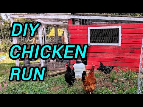 Backyard Chicken Coop/Run Anyone Can Build (T-Posts + Wire!)