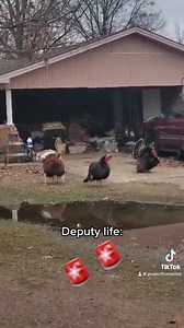 I hope everyone had the best and safest Thanksgiving! | Project Humanize