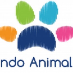 CORUJA-PRETA é uma predadora de morcegos? COMPORTAMENTOS e CURIOSIDADES da espécie! - Mundo Animal BH