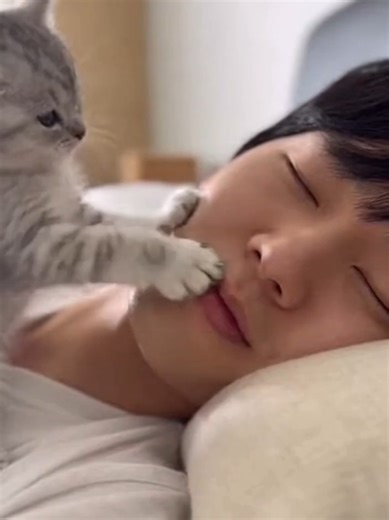 Understanding Cat Behavior for a Safe Home