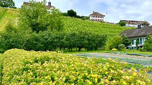 Switzerland Countryside 🇨🇭 | Swiss View