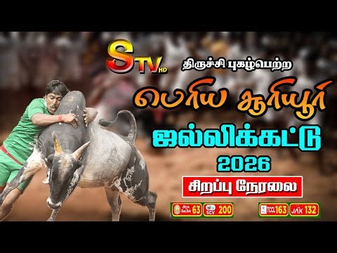 🔴LIVE : திருச்சி பெரிய சூரியூர் ஜல்லிக்கட்டு 2026 - சிறப்பு நேரலை | Suriyur Jallikattu | Stv Trichy